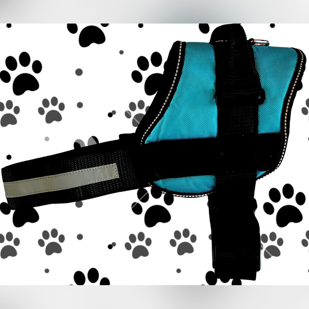 Blue Dog Harness Size XL